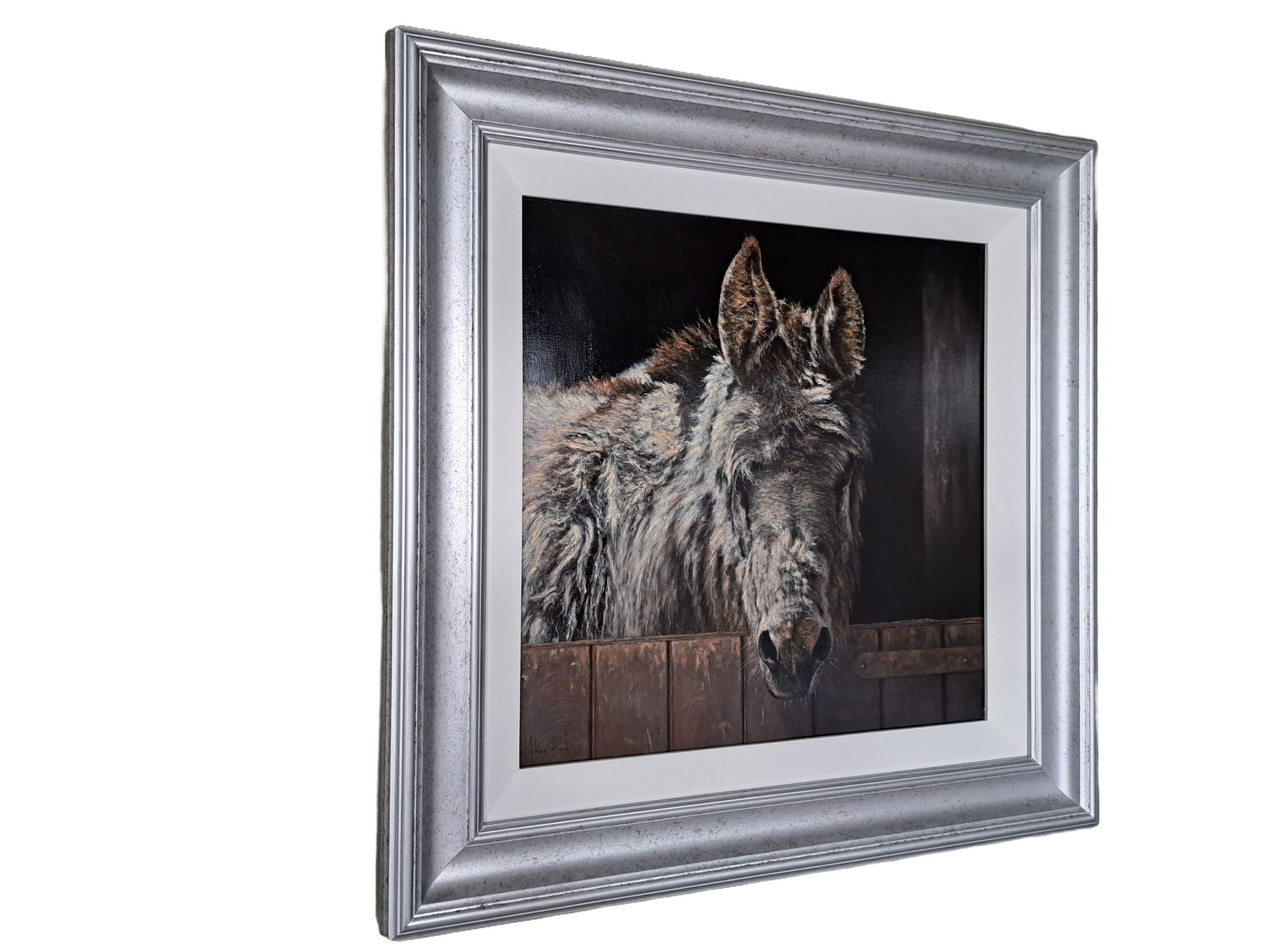 Donkey Original 20 x 20